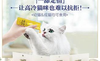 吃瓜娱乐酱猫,揭秘娱乐圈那些不为人知的幕后故事